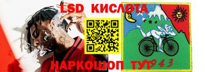 a pvp Краснодар