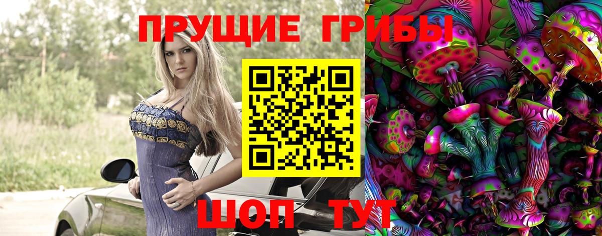 Галлюциногенные грибы Psilocybe  Вход с VPN  Галлюциногенные грибы мухоморы  Энгельс 