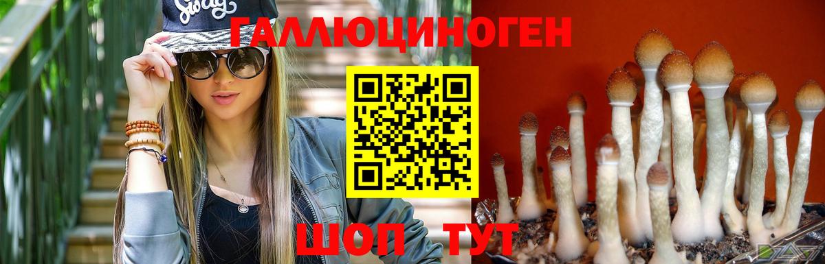 Псилоцибиновые грибы Psilocybe Энгельс